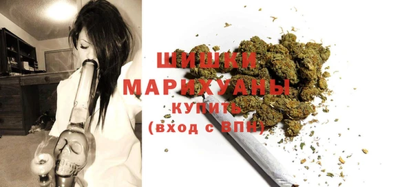 прущий лед Богданович