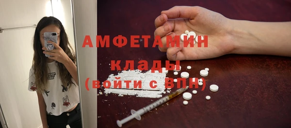 прущий лед Богданович