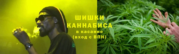 индика Богородицк