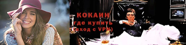прущий лед Богданович