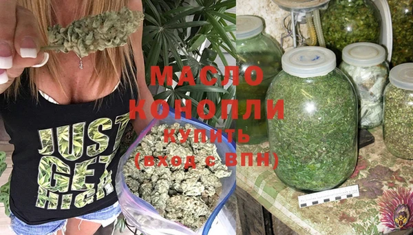 индика Богородицк