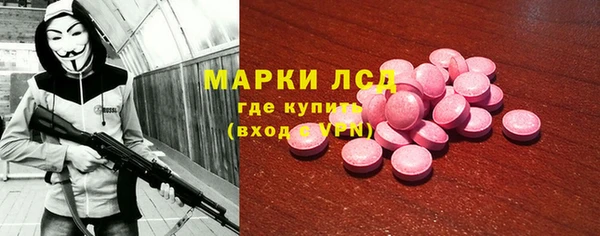 индика Богородицк