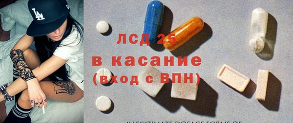индика Богородицк