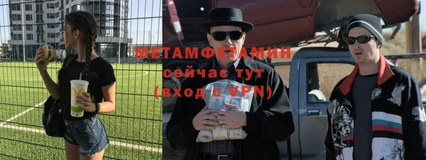 индика Богородицк