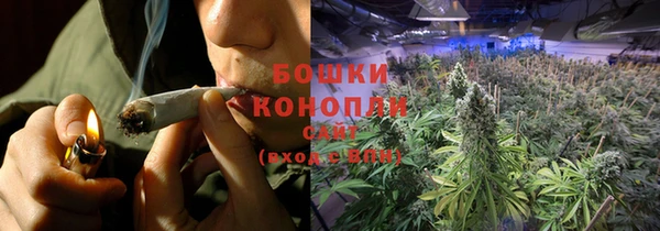 прущий лед Богданович