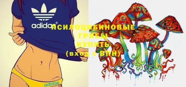 кристаллы Бородино