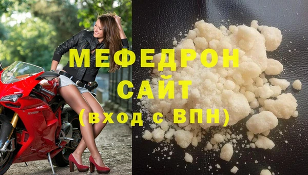 индика Богородицк