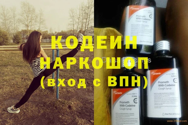 прущий лед Богданович