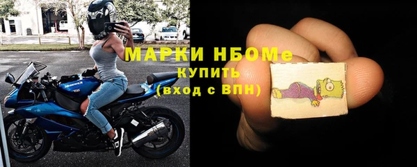 индика Богородицк