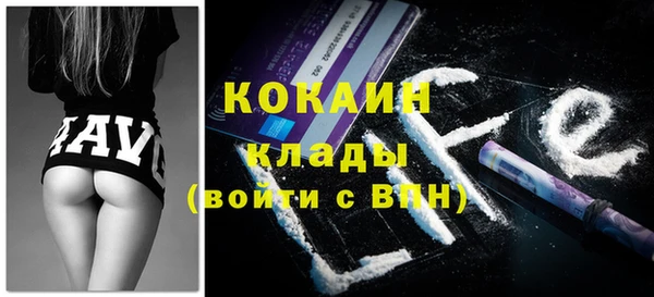 индика Богородицк