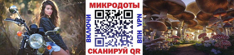 Галлюциногенные грибы Psilocybine cubensis  даркнет как зайти  Морозовск 